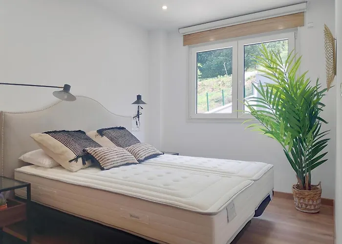 Rey Santiago de Compostela